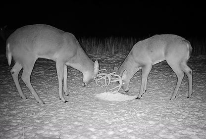 The Original “Deer Crack” Attractant