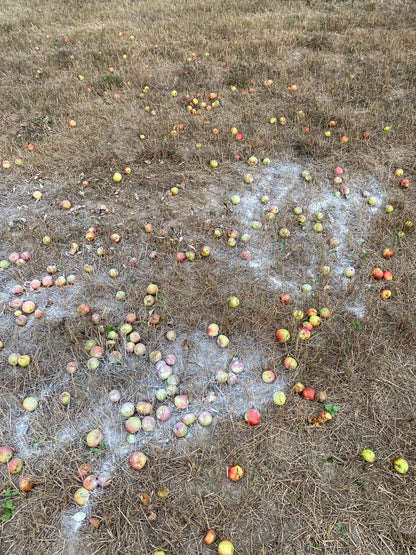 The Original “Deer Crack” Attractant