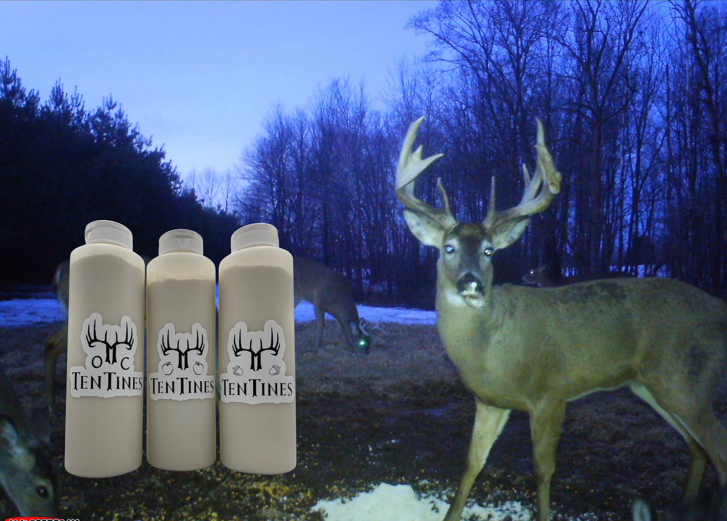 Limited Edition! "Deer Crack" Sampler Pack